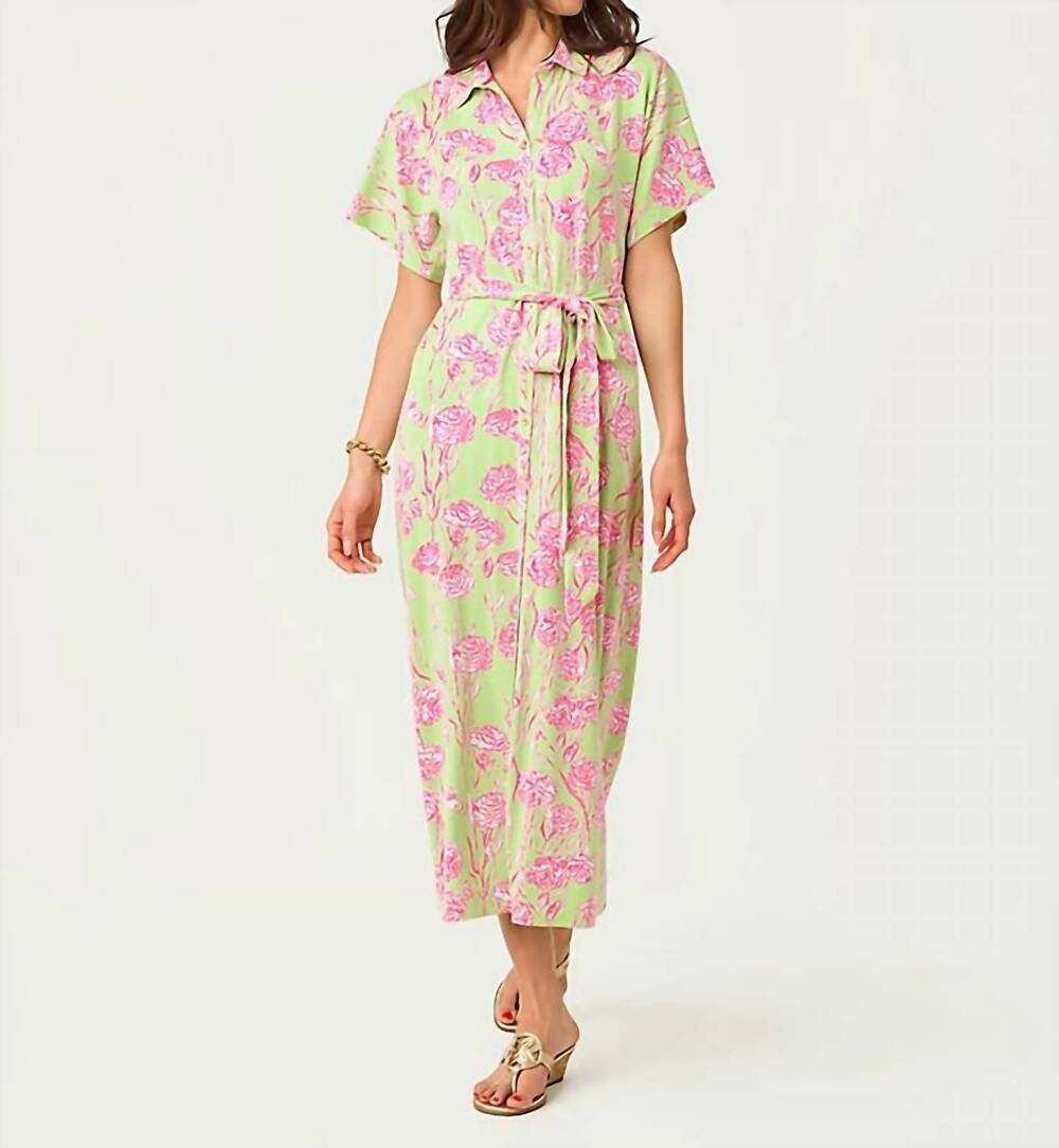 NEW LILLY PULITZER women's mckennon maxi dress in pistachio macaron